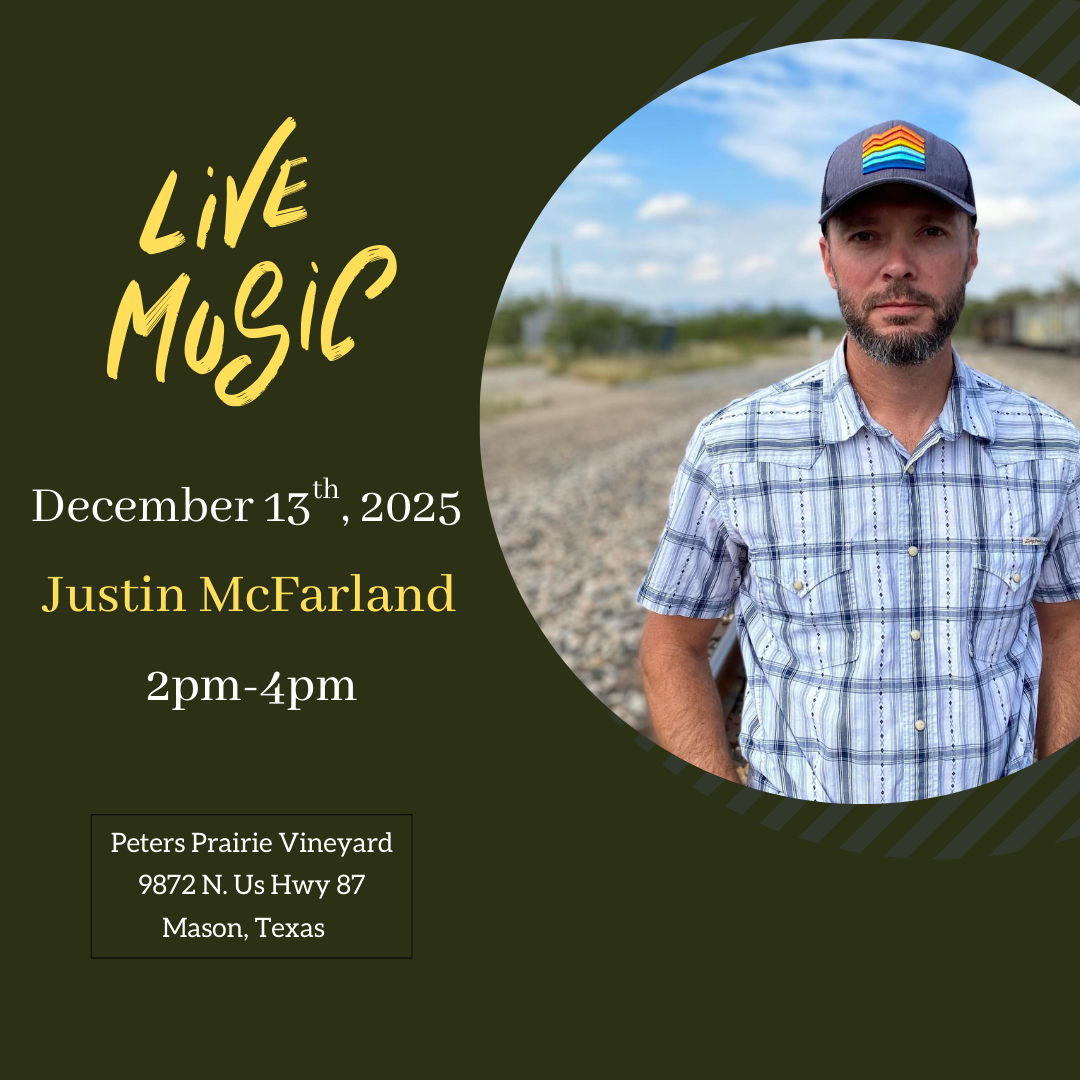 Music in the Vineyard 