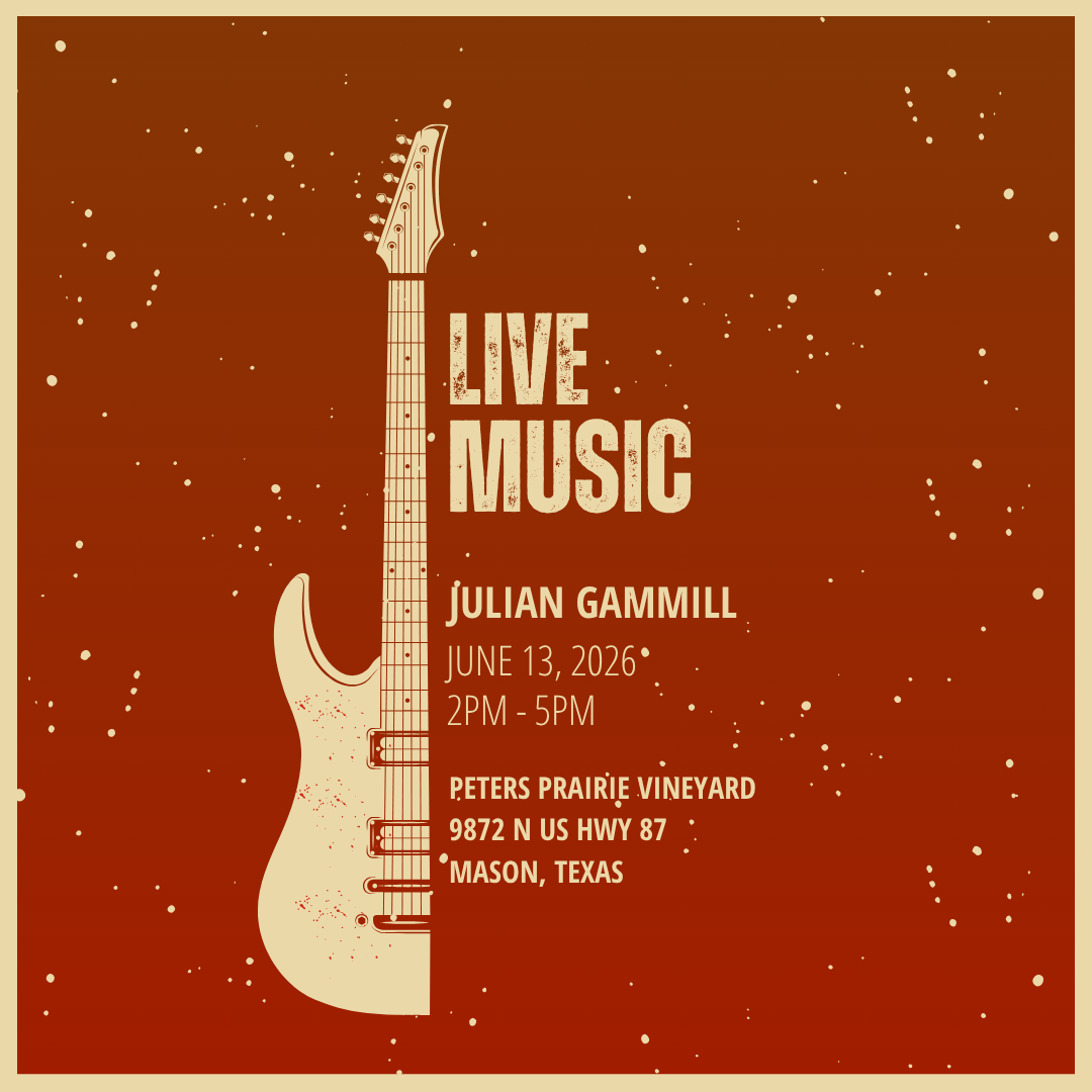 Music in the Vineyard 