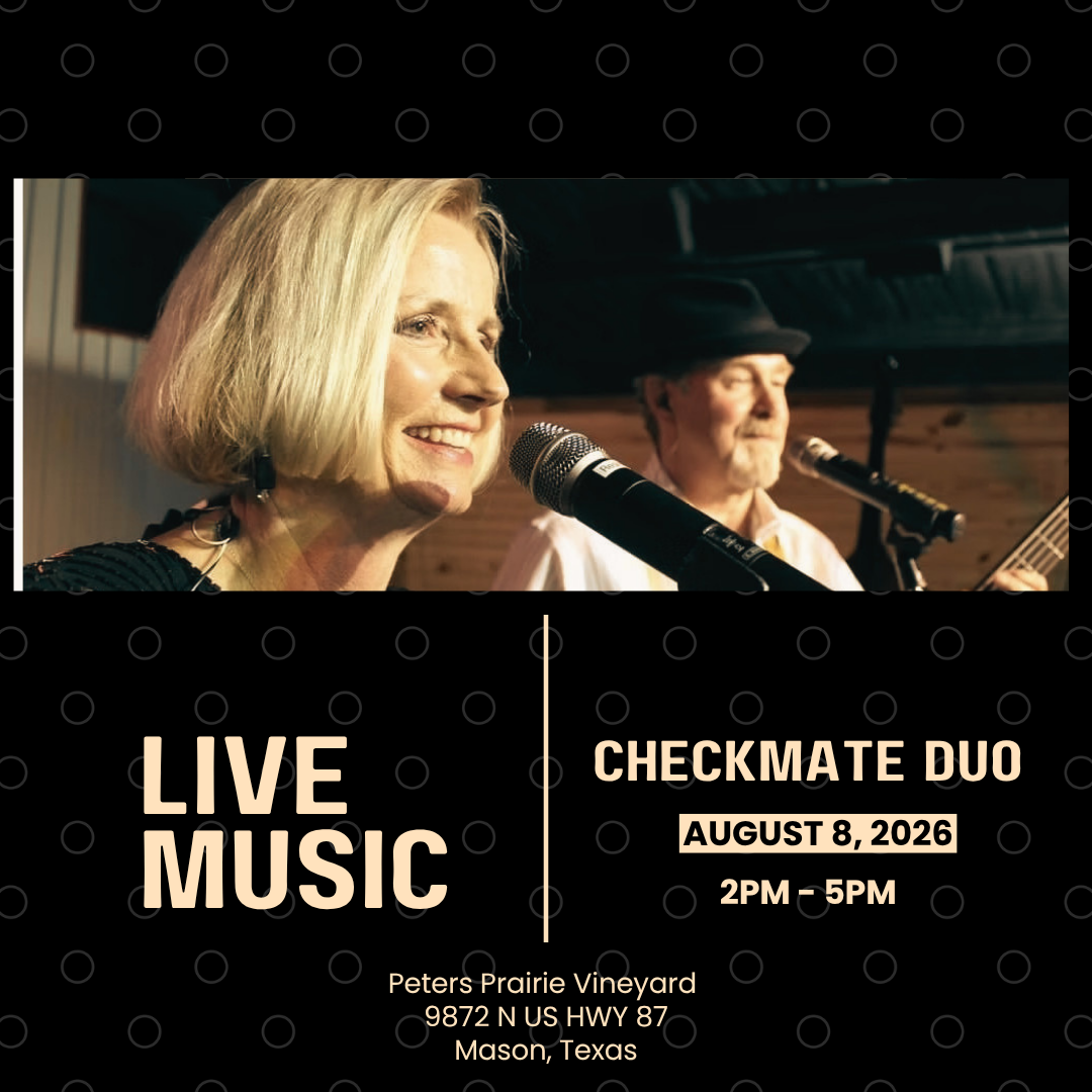 Music in the Vineyard 
